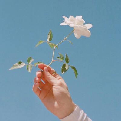 姐姐变形记手游下载