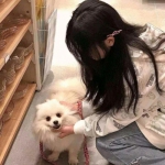 原始觉醒官方版下载